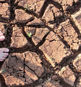 Nuestra huella ecológica