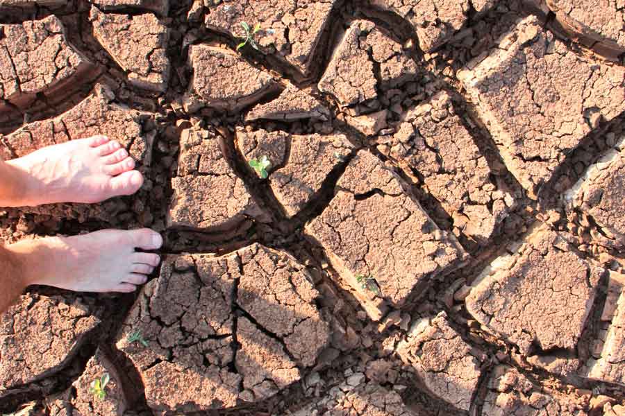 Nuestra huella ecológica