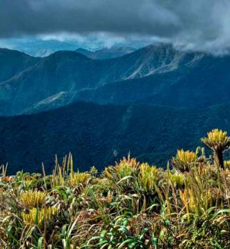 Paisaje de un páramo