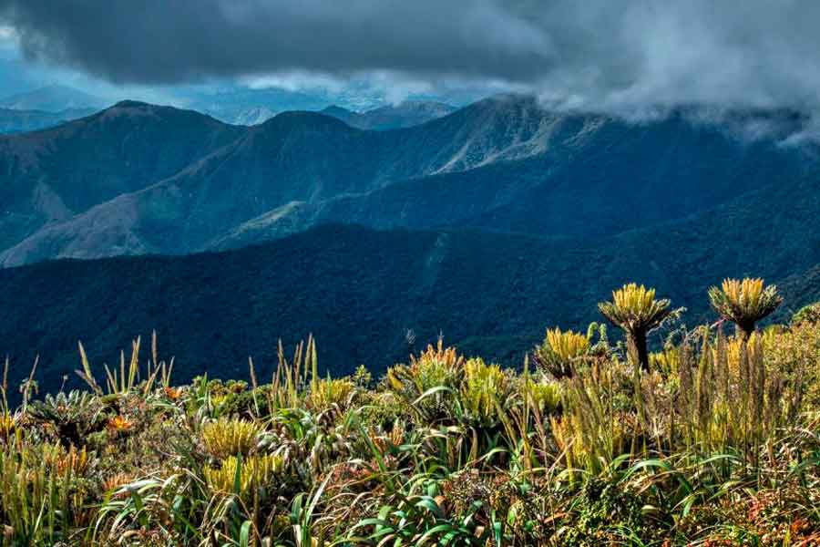 Paisaje de un páramo