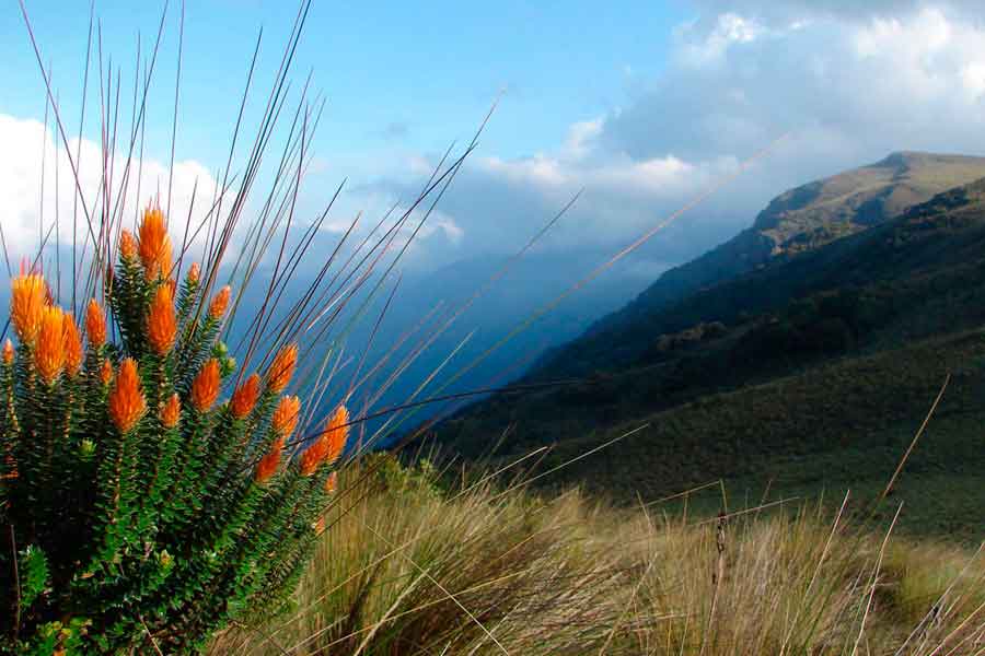 Paisaje de Samenga - Perú