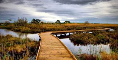 Paisaje de humedal, sobre un acuífero