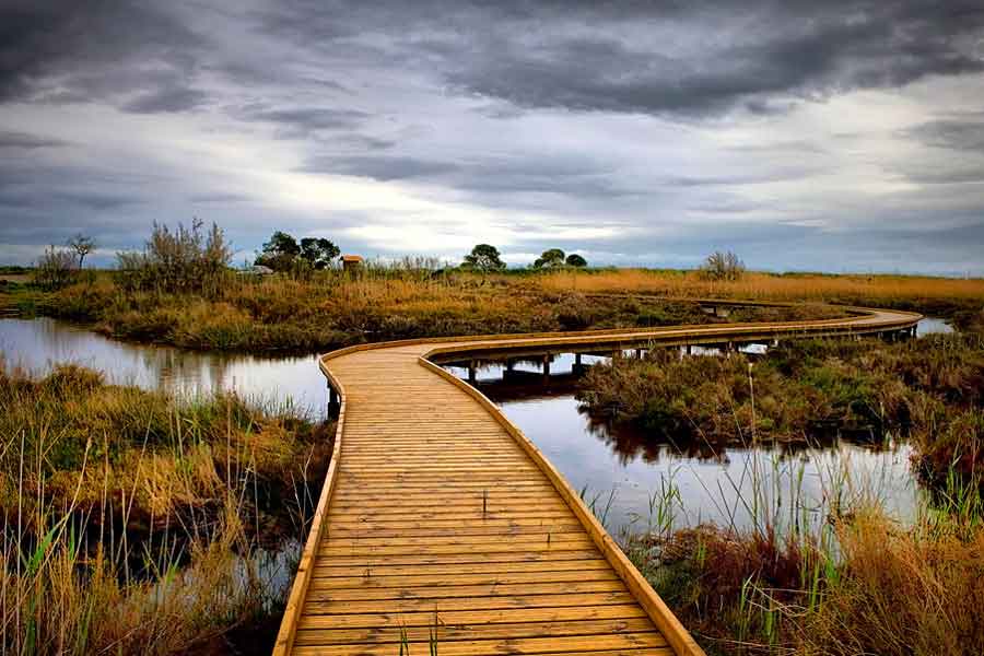 Paisaje de humedal, sobre un acuífero