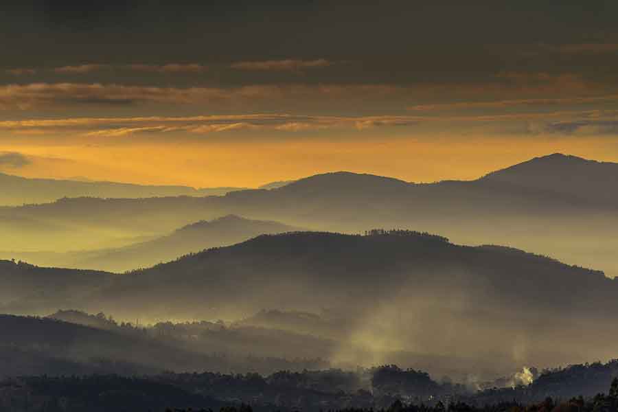 Paisaje en brumas