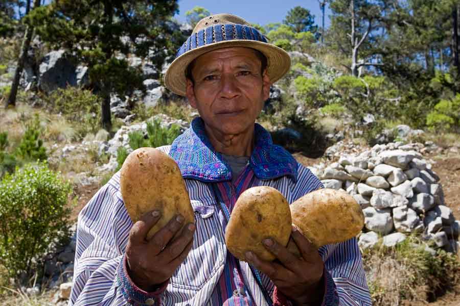 ¿Qué es el desarrollo sostenible?