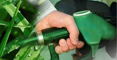 El sinsentido de los biocombustibles