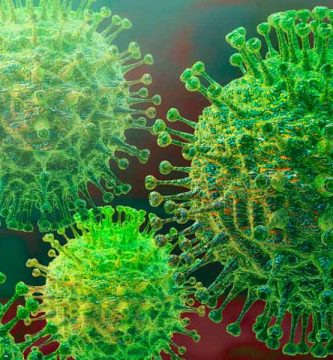 Seis aspectos de la naturaleza relacionados con los coronavirus