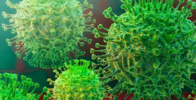 Seis aspectos de la naturaleza relacionados con los coronavirus