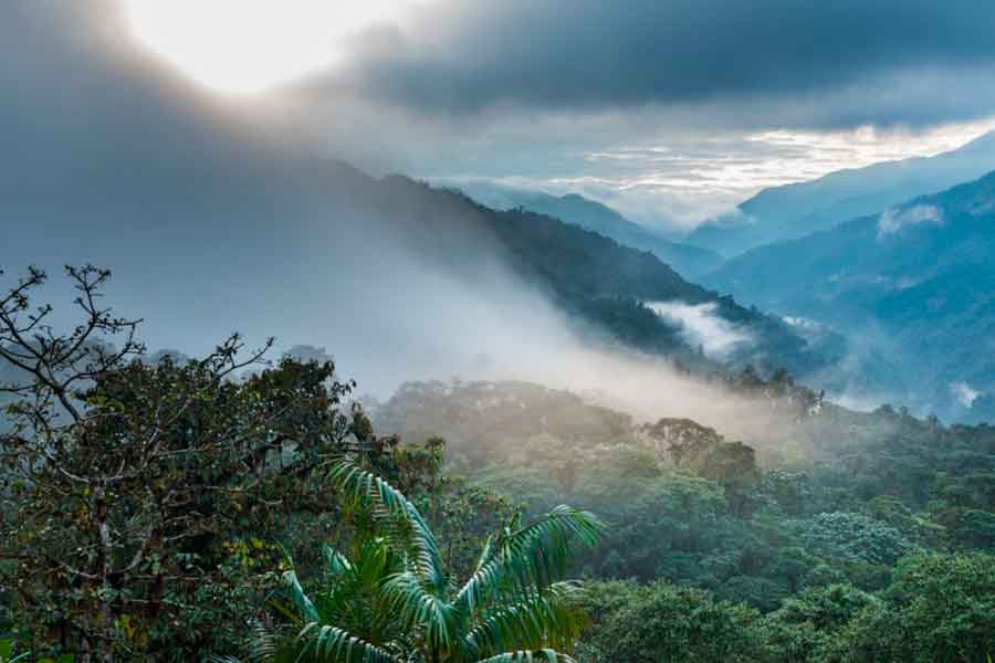 Las Yungas bolivianas