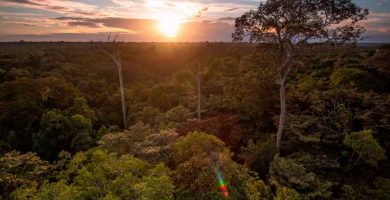 El río Amazonas