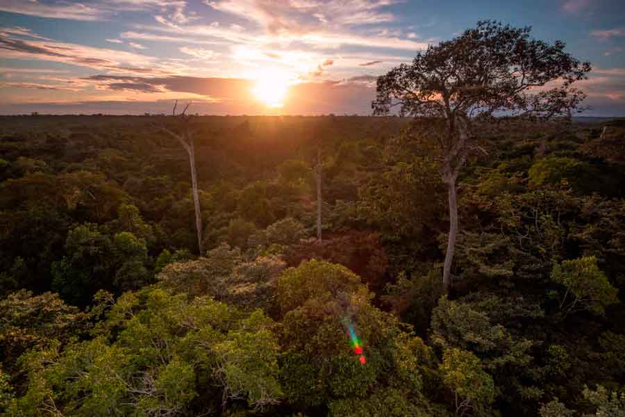 El río Amazonas