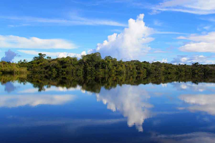 El río Amazonas