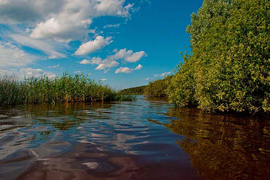 El río Volga