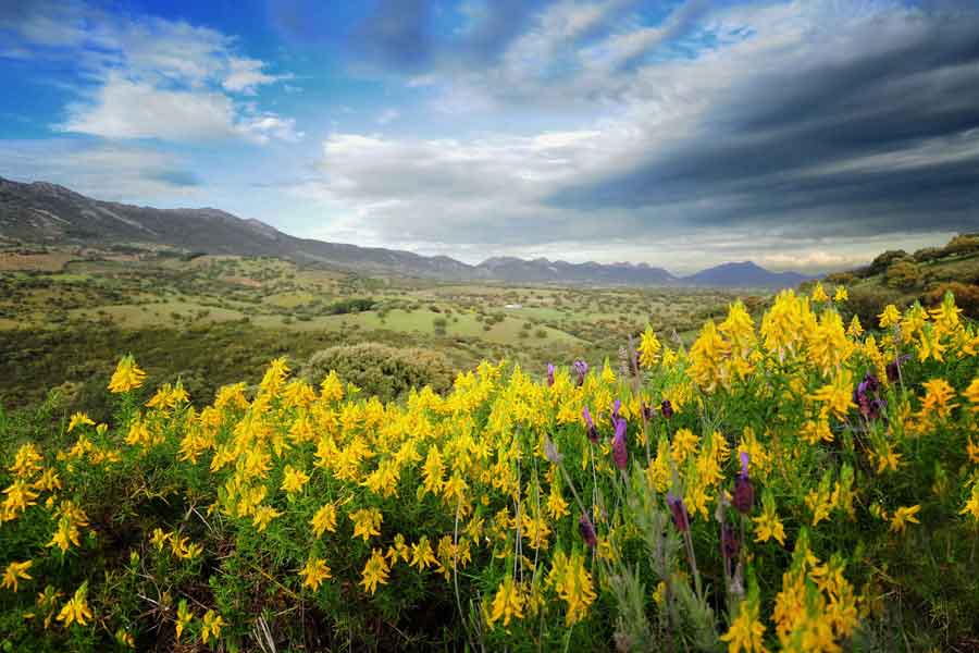 Los montes Apalaches