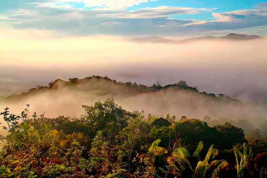 La isla de Borneo