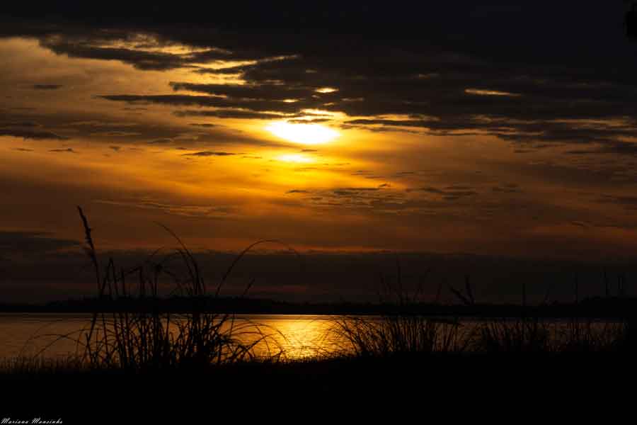 Salvar la laguna de Chascomús