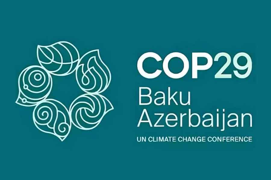Reporte de la COP29