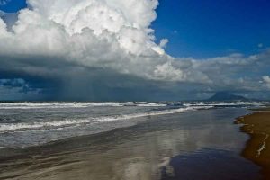 Efectos biológicos del calentamiento global en el Mediterráneo